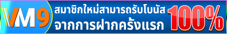 vm9- vm9 สล็อต